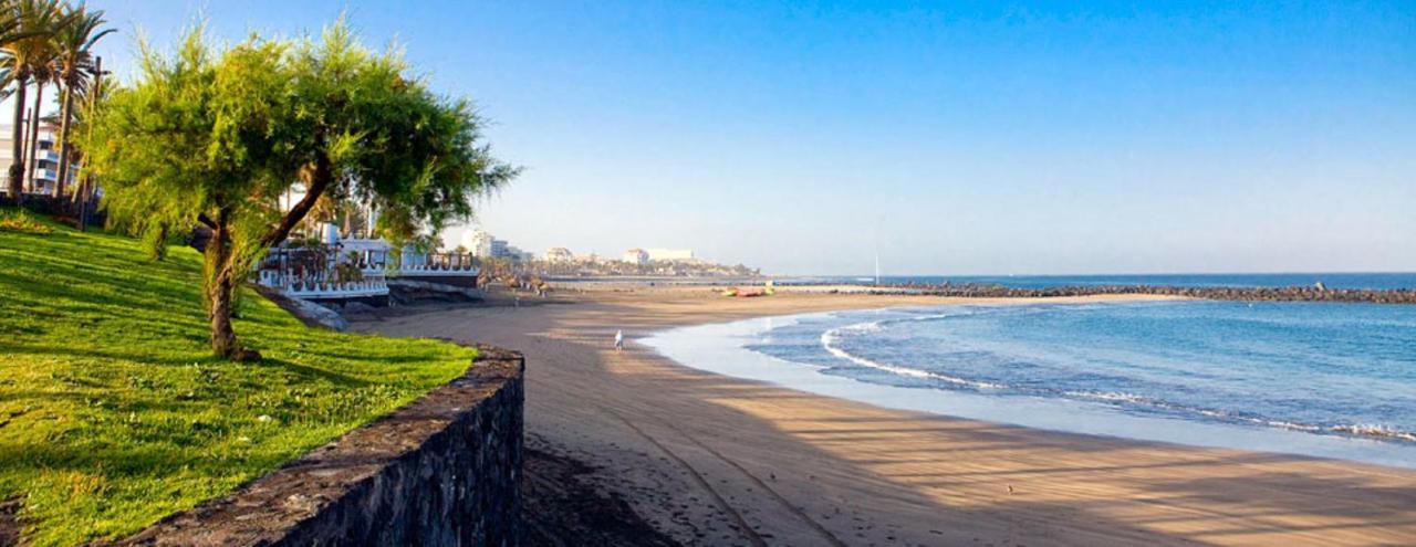 319 Modern Accommodation,Sea View, Wi Fi And Pool Playa de las Americas (Tenerife) Exterior foto